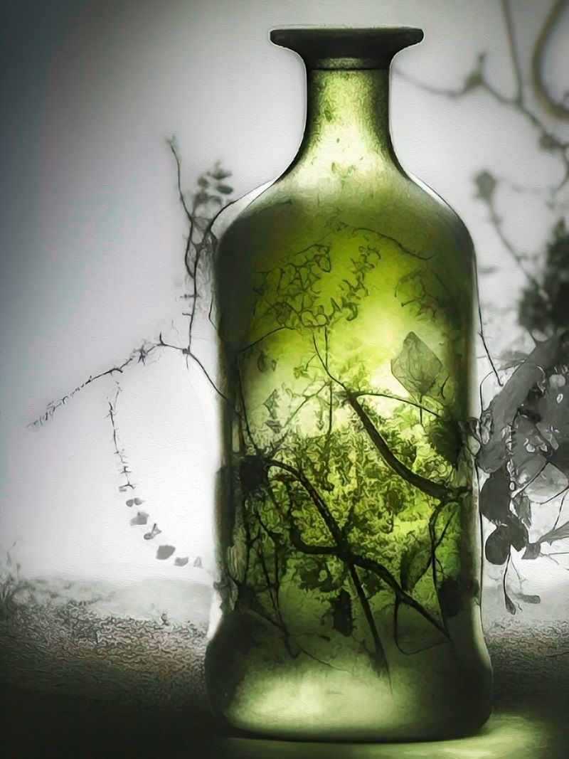Botella de cristal verde con hierbas en su interior de la Farmacia Actur